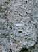 thumbs/thumb_Camera_2026_06_06_PXL_20260423_172829397.jpg