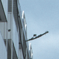 detail.gif