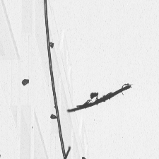 detail_ir.gif